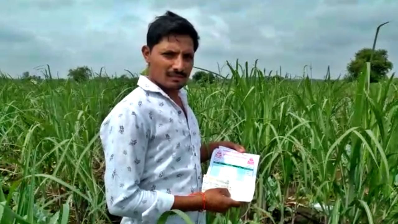 Pune : फुलकोबी विकून हाती आले अवघे साडे नऊ रुपये, हताश शेतकऱ्यानं साडे नऊ रुपयांचा चेक व्यापाऱ्याला केला परत