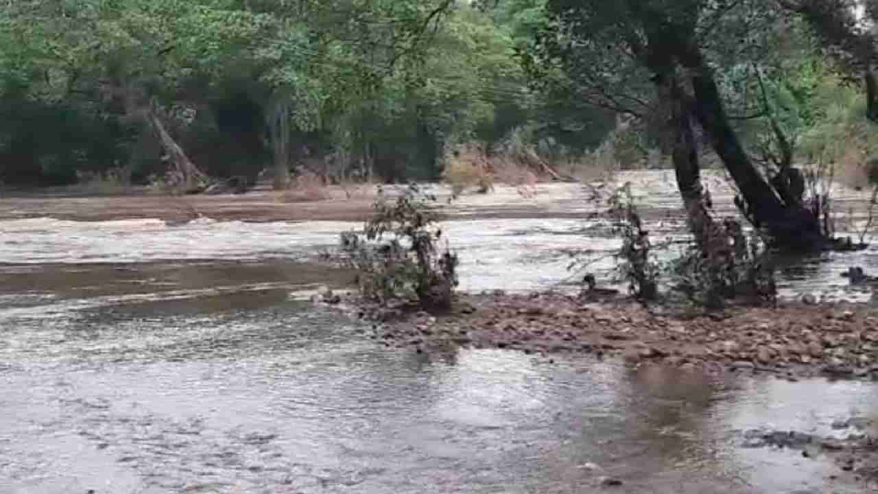 Gadchiroli Rain | गडचिरोली जिल्हात पूरस्थिती कायम, भामरागड राष्ट्रीय महामार्ग बंद...