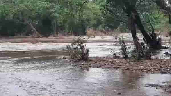 Gadchiroli Rain | गडचिरोली जिल्हात पूरस्थिती कायम, भामरागड राष्ट्रीय महामार्ग बंद...