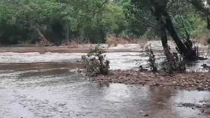 Gadchiroli Rain | गडचिरोली जिल्हात पूरस्थिती कायम, भामरागड राष्ट्रीय महामार्ग बंद...