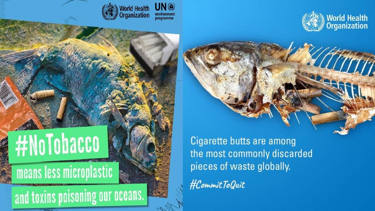 WHO: एका सिगारेटमुळे वातावरणात 7000 हून अधिक रसायनं; एकामुळे 70 जणांचा जीव धोक्यात; कॅन्सरचे प्रमाण वाढले