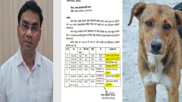 Aurangabad | औरंगाबादेत कुत्रा घोटाळ्याची चर्चा, 28 हजार कुत्रे पकडण्यासाठी कोट्यवधींचा खर्च? माजी महापौर प्रमोद राठोड यांचा आरोप काय?