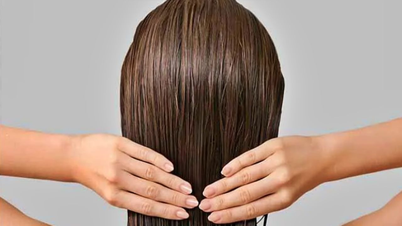 Hair Care : केसांना कधी लावू नये तेल? कशी घ्यावी केसांची काळजी? जाणून घ्या...