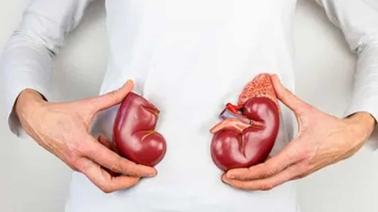 Kidney stone : किडनी स्टोन विरघळण्यासाठी या गोष्टींचे रोज करा सेवन