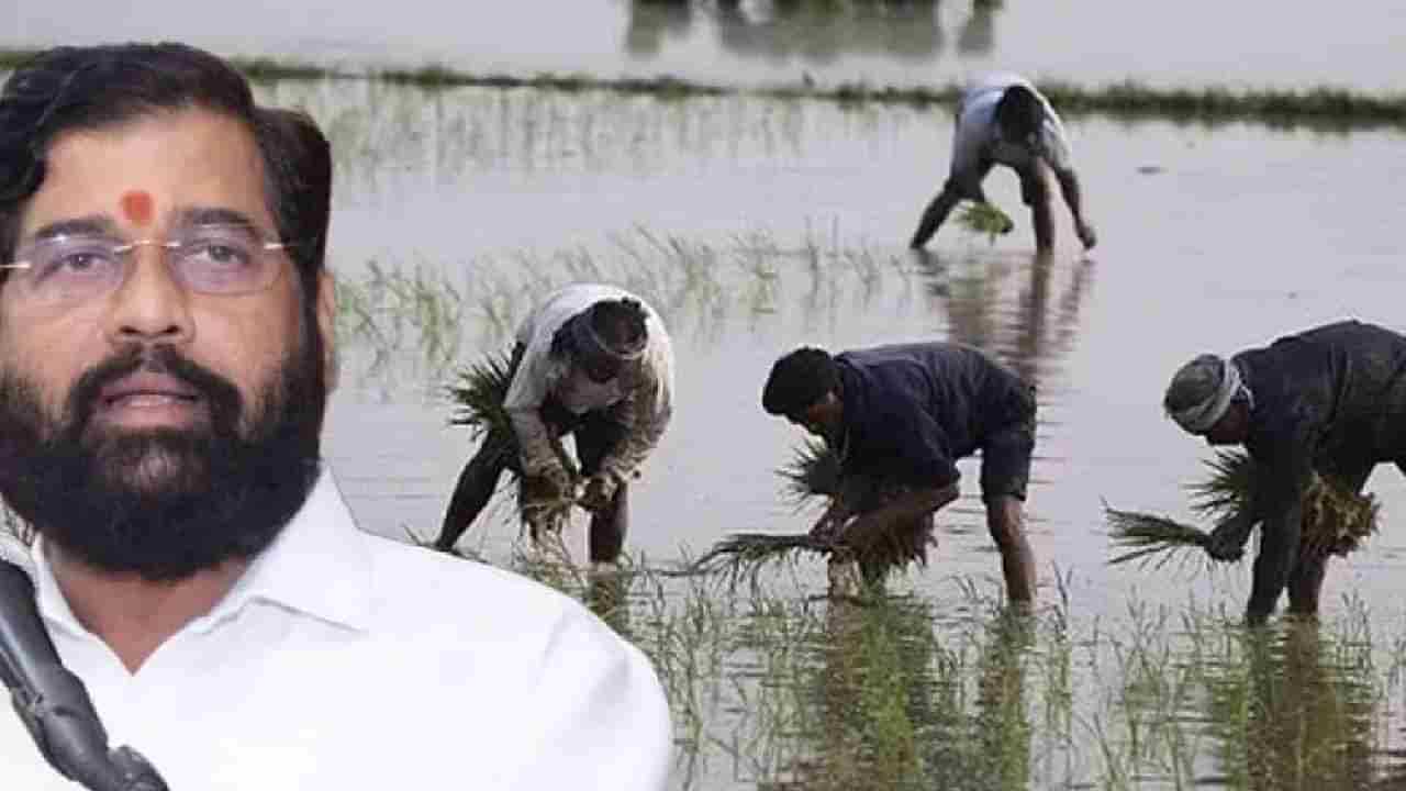 Agricultural : पावसाळी अधिवेशनात शेती क्षेत्राशी संबंधित शिंदे सरकारचे महत्वाचे निर्णय, शेतकऱ्यांच्या पदरी काय? वाचा सविस्तर