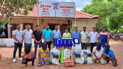 Pune crime : चंदनचोर गजाआड, एफटीआयआयच्या आवारातून केली होती चोरी; 95 किलो चंदनाची झाडं जप्त
