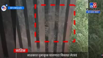 Nashik : चाडेगाव शिवारातील धुमाकूळ घालणारा बिबट्या जेरबंद, ग्रामस्थांनी घेतला सुटकेचा निःश्वास