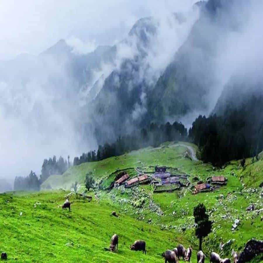 उत्तराखंडमधील खास हिल स्टेशनला 'मिनी स्वित्झर्लंड' म्हणतात. अनोखे जग असलेल्या या सुंदर ठिकाणी भेट देण्याची एक वेगळीच मजा आहे. आपण आयुष्यामध्ये किमान एक वेळ तरी याठिकाणी नक्कीच भेट द्यायला हवी.
