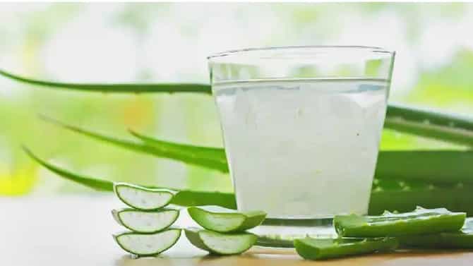 Benefits of Aloe Vera Juice : कोरफडीच्या रसामुळे मधुमेह नियंत्रणात ठेवण्यास मिळते मदत!