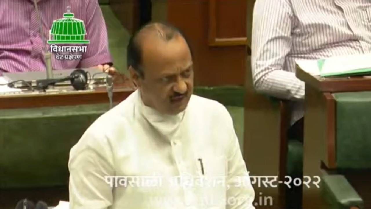 Ajit Pawar : तुम्ही डान्सबार फोडले, पण तुमच्याच घराशेजारी सर्रासपणे डान्सबार सुरू; अजित पवारांचा मुख्यमंत्र्यांना टोला