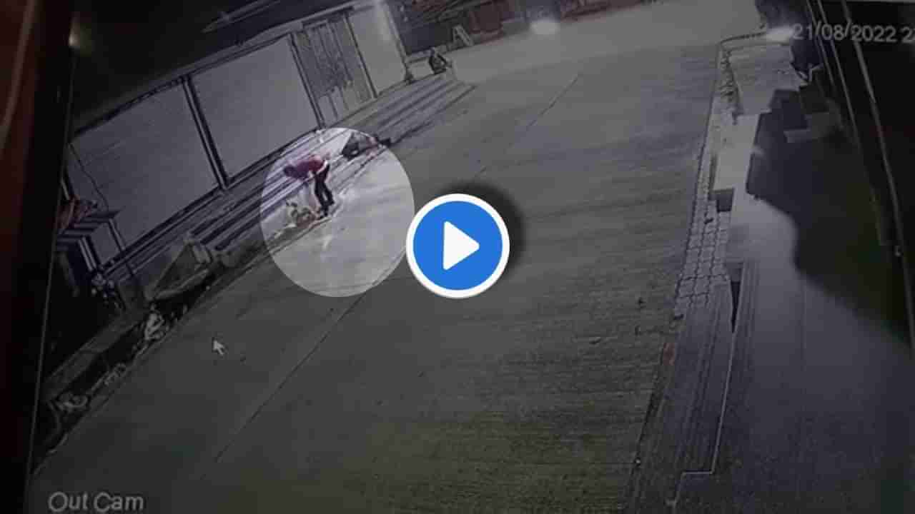 Wardha CCTV : चाकू भोसकून गर्भवती श्वानाची हत्या! वर्ध्यातील संतापजनक घटनेचं सीसीटीव्हीदेखील समोर