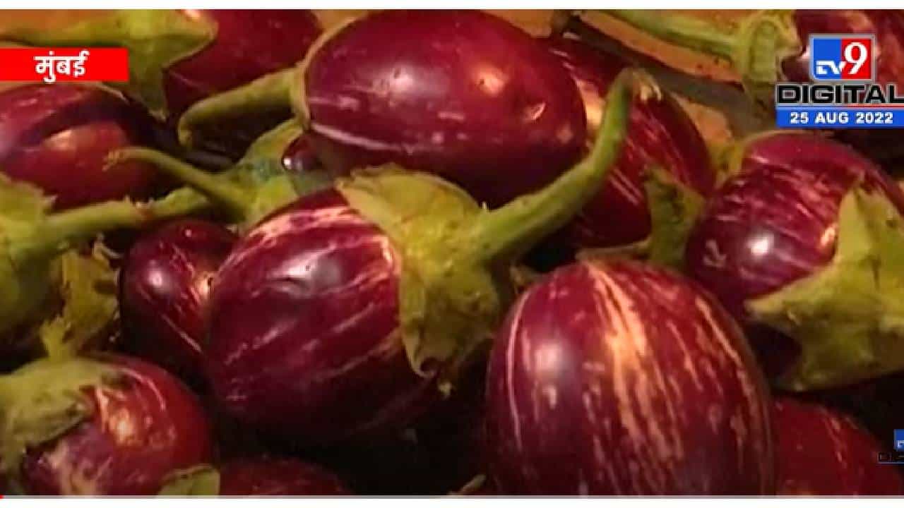 VIDEO : Mumbai | आगामी गणेशोत्सव काळात भाज्यांची मागणी वाढणार, भाज्यांची आवक कमी VIDEO : Mumbai | आगामी गणेशोत्सव काळात भाज्यांची मागणी वाढणार, भाज्यांची आवक कमी