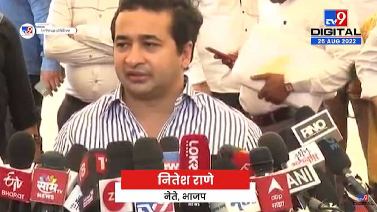 Nitesh Rane | कोकणातील खड्डे येत्या 2 दिवसांत बुजवण्याचे अधिकाऱ्यांना आदेश दिलेत-tv9