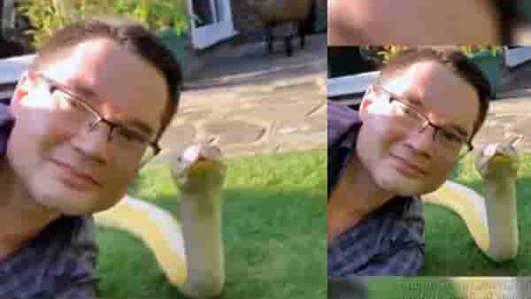Selfie Viral: चल बेटा सेल्फी लेले रे! लोकं विचारतात,आहे का गेला?