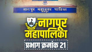 Nagpur Nandi Bull : अबब, अडीच लाखांचा नंदीबैल, नागपुरात अखंड लाकडाचा बनविला नंदीबैल, उंची 5 फूट