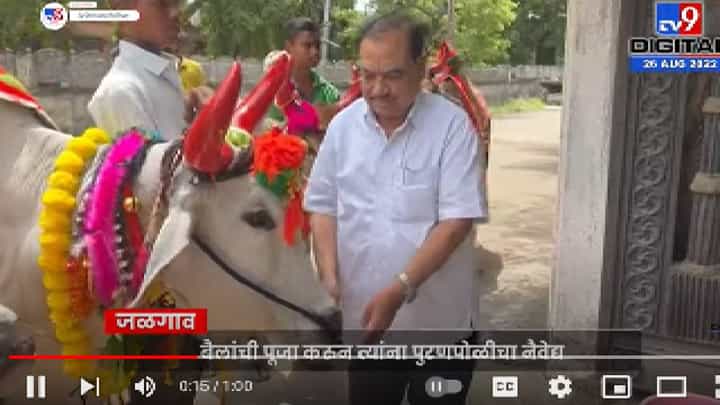 Eknath Khadse | खडसे कुटुंबियांनी साजरा केला बैलपोळा सण, पुरणपोळीची नैवैद्यही भरवला Eknath Khadse | खडसे कुटुंबियांनी साजरा केला बैलपोळा सण, पुरणपोळीची नैवैद्यही भरवला