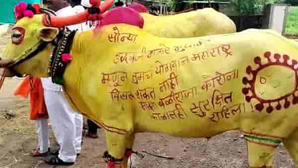 Bail Pola : जवळचे गेले विरोधात, पण सोन्या बैलाची थाप, तुमच्यामुळेच सुरक्षित, उद्धव ठाकरेंसाठीचा संदेश राज्यभरात चर्चेत