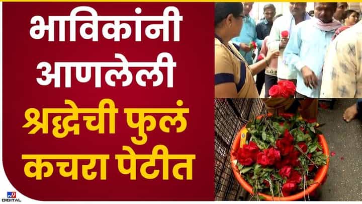 साई मंदिरात श्रद्धेची फुलं कचऱ्यात.... साई मंदिरात श्रद्धेची फुलं कचऱ्यात....