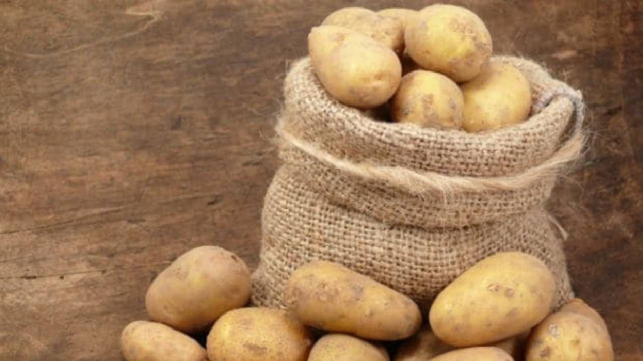 High Cholesterol: हाय कोलेस्ट्रॉल असताना बटाट्याचे सेवन करू शकतो का? जाणून घ्या बटाटा खाण्याची योग्य पद्धत आणि फायदे