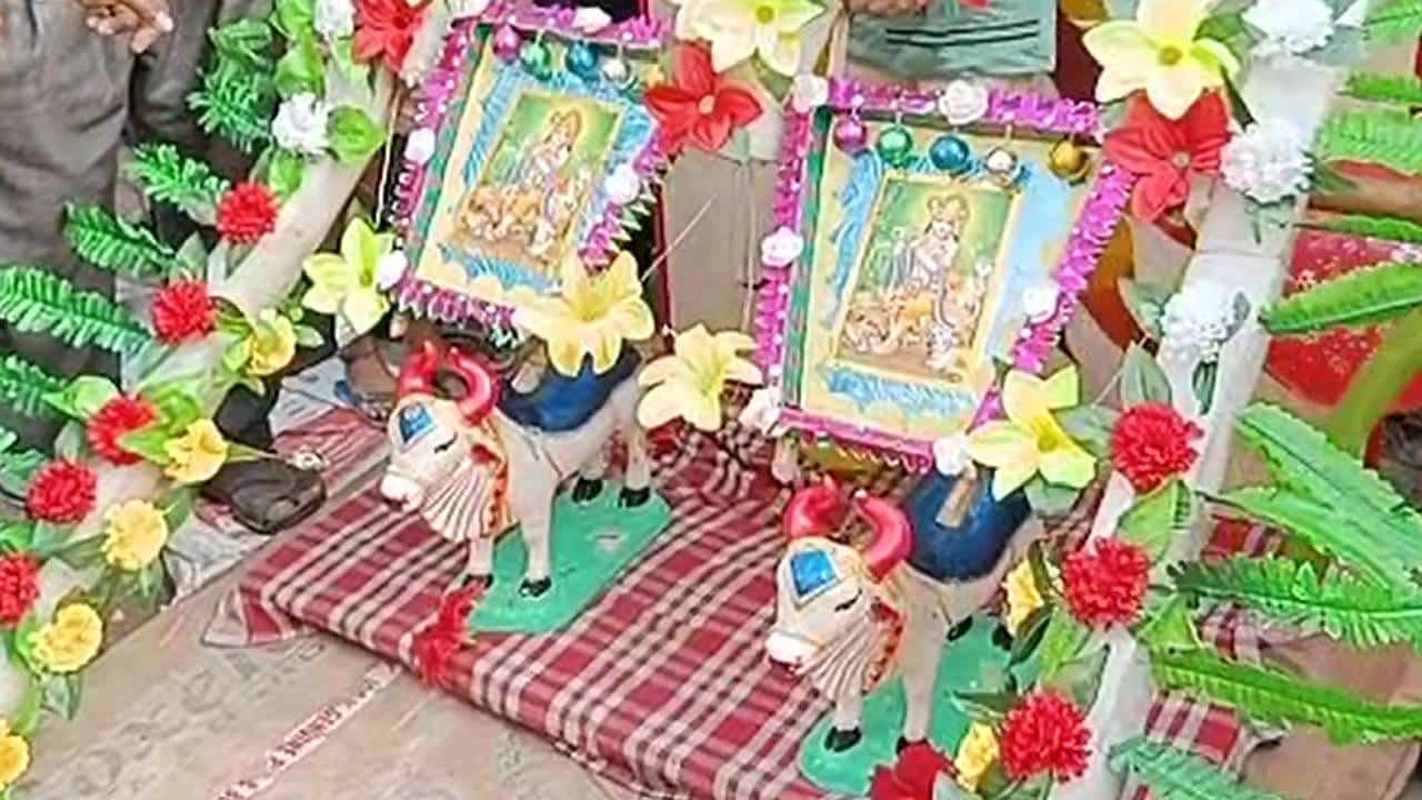 Yawatmal : बैलपोळा झाला आता तान्हा पोळ्याने वेधले लक्ष, काय आहे विदर्भातील अनोखी परंपरा?