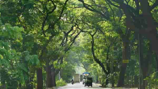 लग्नाला नकार दिला म्हणून ओढणीने गळा दाबून ऑटोचालकाची हत्या, 6 मुलांची आई झाली गजाआड