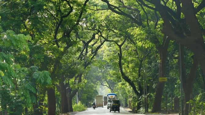 लग्नाला नकार दिला म्हणून ओढणीने गळा दाबून ऑटोचालकाची हत्या, 6 मुलांची आई झाली गजाआड