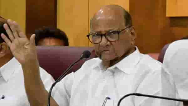 Grape Council : द्राक्ष परिषदेमध्येही वाईन विक्री धोरणाचा मुद्दा, काय म्हणाले शरद पवार?