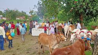 Gondia : धान खरेदी केंद्रावर सुविधांपेक्षा अडचणी अधिक, ऑनलाईन नोंदणी होत नसल्याने खरेदी रखडली