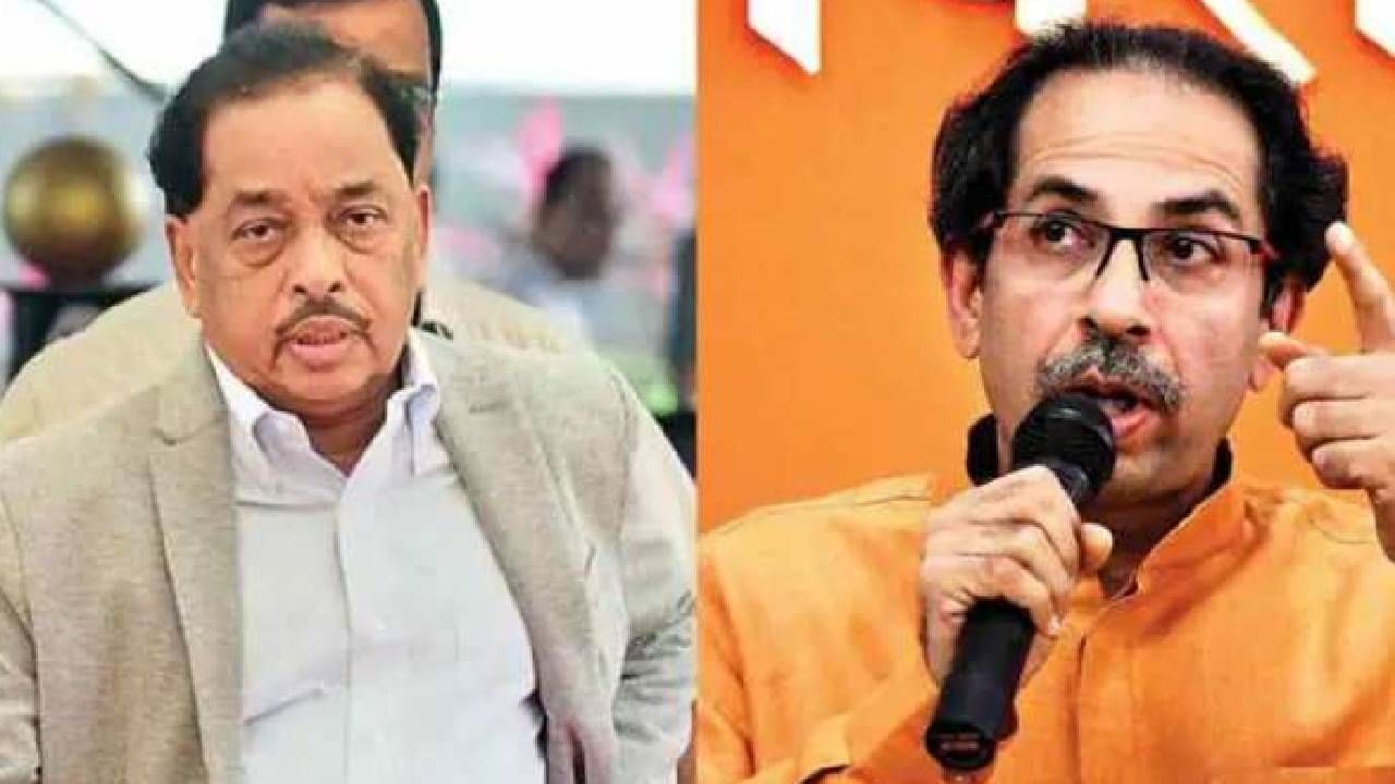 Shiv Sena: उद्धव ठाकरे हेच खरे मातोश्रीचे बछडे, मातोश्रीशी गद्दारी करणाऱ्यांनी म्याव म्याव.. शिवसेनेचे नारायण राणेंना प्रत्युत्तर