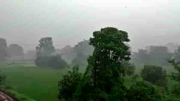 Pune rain : पुणे शहरात ऑगस्टमधल्या कमी पावसाची नोंद, हवामान विभागानं दिली सविस्तर आकडेवारी