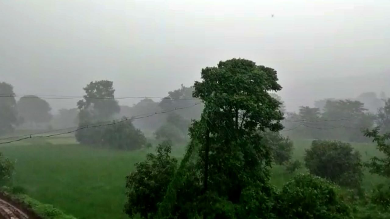 Pune rain : पुणे शहरात ऑगस्टमधल्या कमी पावसाची नोंद, हवामान विभागानं दिली सविस्तर आकडेवारी
