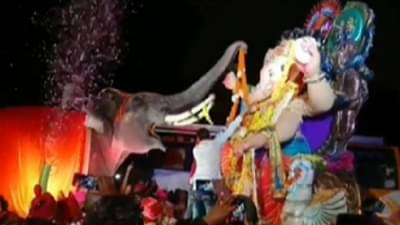 Ganesh Chaturthi 2022: गजराजांनी केलं गणरायाचं स्वागत, साधंसुधं नाही, धुमधडाक्यात हार घालून...! व्हिडीओ व्हायरल