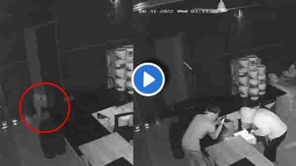 एका रात्रीत 13 दुकानं फोडली! सापासारखे शिरले, लाखोंचा माल लुटून फरार, सीसीटीव्ही कॅमेऱ्यात कैद झाला चोरीचा थरार