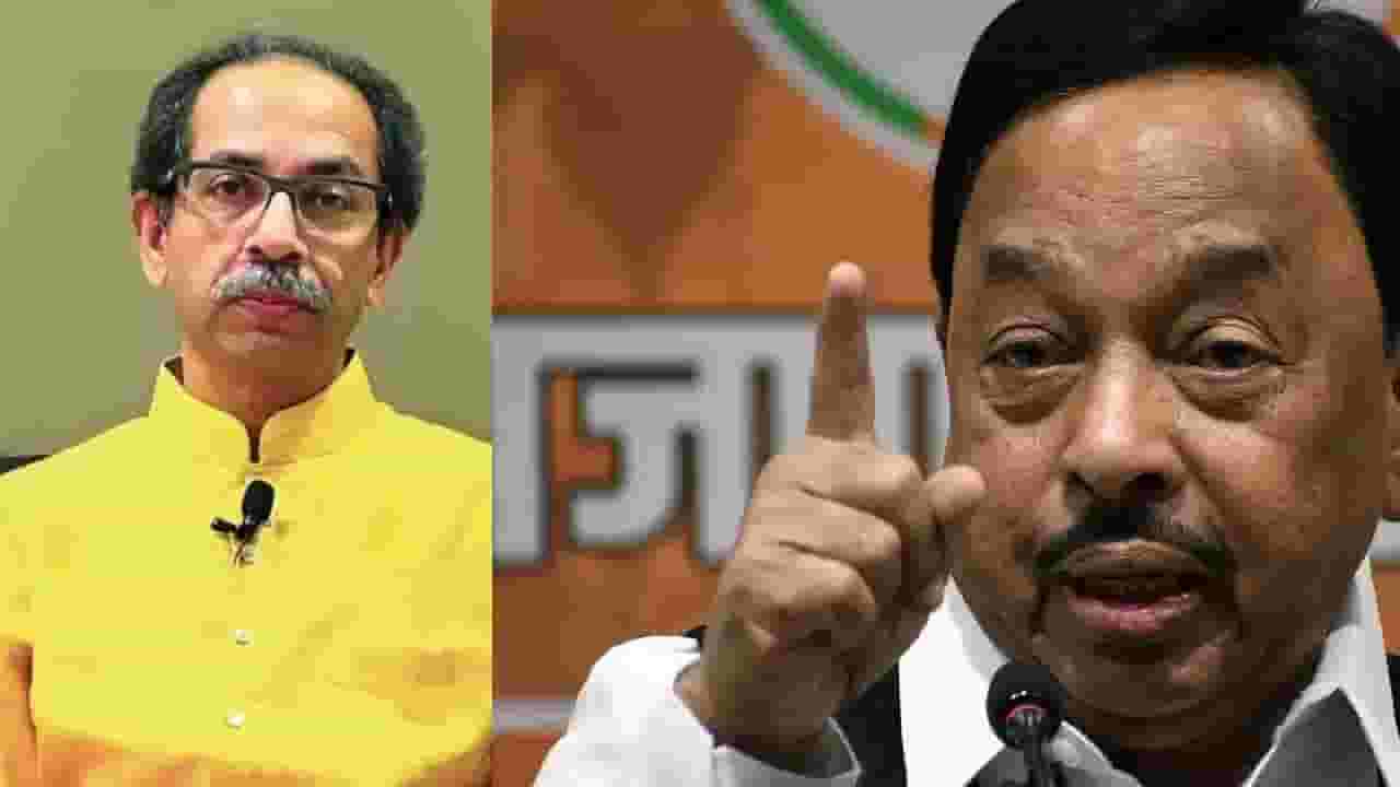 उद्धव ठाकरे यांनी काल दारू पिऊन भाषण केलं- राणे