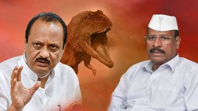 अब्दुल सत्तार यांनी अजित पवार यांना डायनासोर म्हटल्यानंतर अजित पवार म्हणतात, मी....