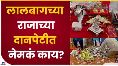 Raja of Lalbagh : लालबागच्या राजाच्या दानपेटीत नेमकं काय दान?
