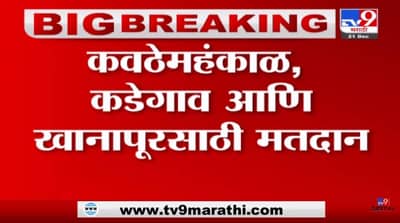 Election: सांगलीतील कवठेमहंकाळ, कडेगाव, खानापूरसाठी आज मतदान, दिग्गजांची प्रतिष्ठेची लढाई