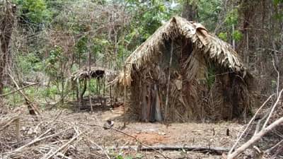 जीवन सुंदर आहे, असं म्हणतात, पण तो माणूस जंगलात 26 वर्षापासून एकटा जगला हो...