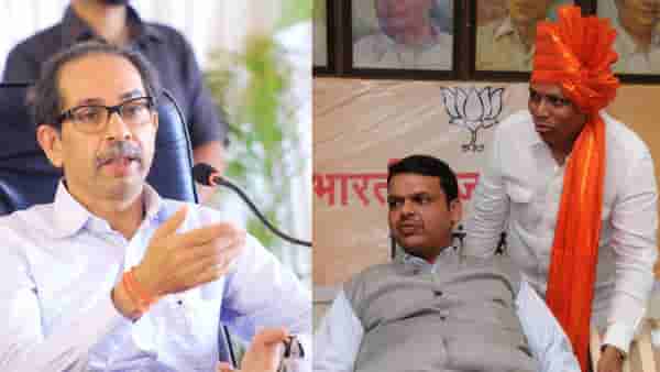 आमच्या कमळाला बाई म्हणत हिणवता, आम्ही तुम्हाला पेंग्विनसेना म्हणायचं का?, आशिष शेलारांचा उद्धव ठाकरेंना सवाल