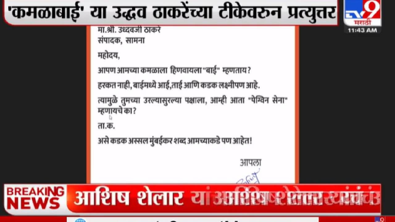 'तुमच्या उरल्या सुरल्या सेनेला पेंग्विन सेना म्हणायचं का?' उद्धव ठाकरेंना सवाल