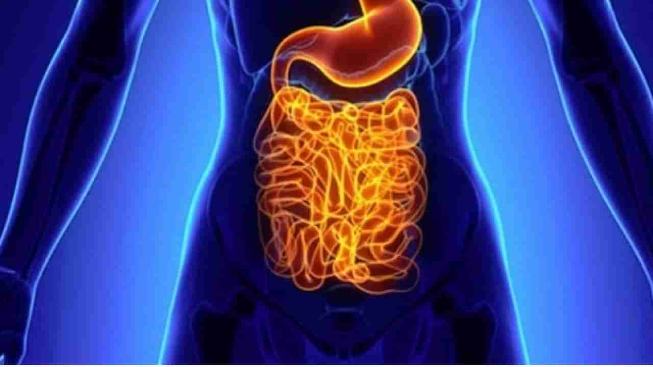 Worms in the intestines: शरीरात दिसत असतील हे बदल तर समजून जा.. आतड्यांमध्ये जंत झालेत!