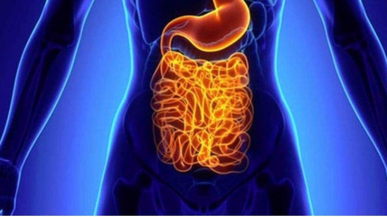 Worms in the intestines: शरीरात दिसत असतील हे बदल तर समजून जा.. आतड्यांमध्ये जंत झालेत!