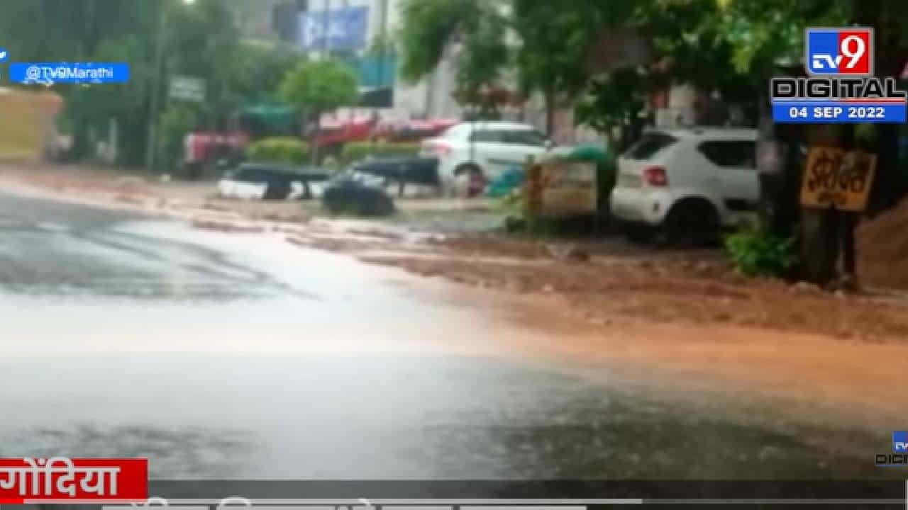 VIDEO : Gondia Rain | गोंदिया जिल्ह्यात पुन्हा बरसल्या पावसाच्या सरी, बळीराजा सुखावला VIDEO : Gondia Rain | गोंदिया जिल्ह्यात पुन्हा बरसल्या पावसाच्या सरी, बळीराजा सुखावला