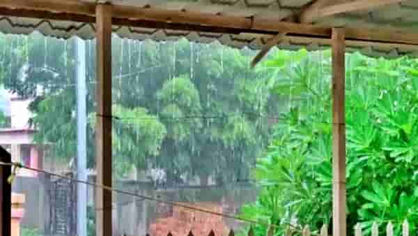 Monsoon : पुणे शहरात 8 सप्टेंबरपासून वाढणार पावसाचा जोर, गणपती विसर्जनाच्या दिवशीही राहणार मुसळधार? वाचा...