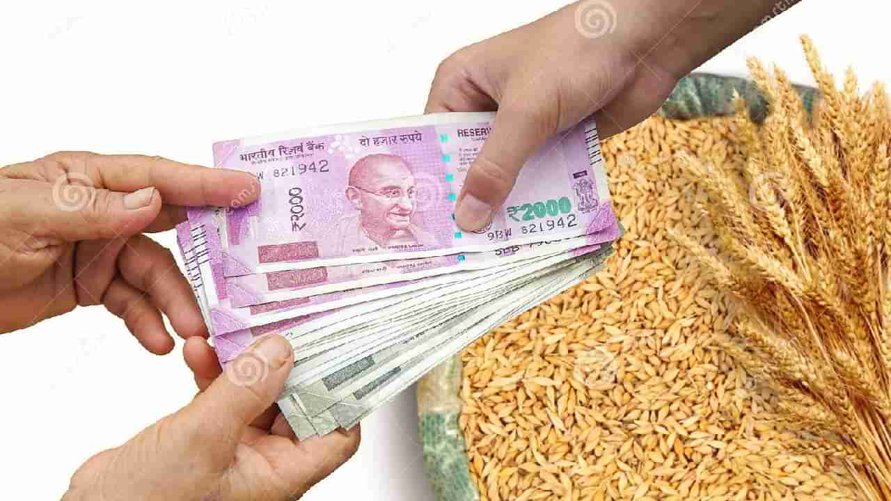 PM Kisan Scheme : शेतकऱ्यांसाठी महत्वाची बातमी, या पाच कारणांमुळे पीएम किसान योजनेच्या पैशाला शेतकरी मुकणार..!