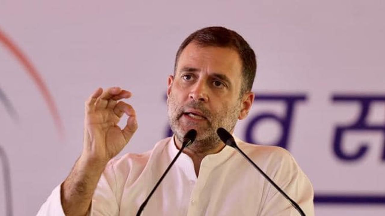 Rahul Gandhi: टॉपच्या अभिनेत्रीचं राहुल गांधी यांच्यावर जडलेलं असं प्रेम, डेटबाबत म्हणाली..