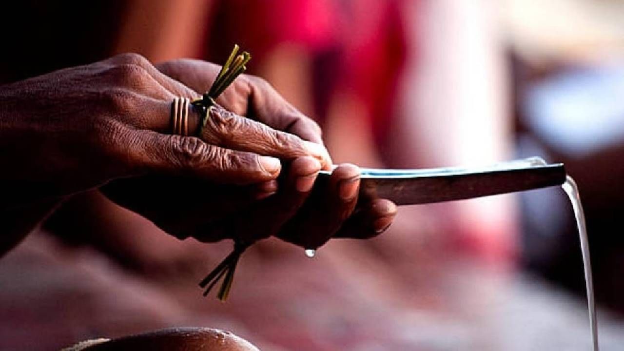 Pitru Paksha 2022: पितृ पक्षात पितरांना प्रसन्न करण्यासाठी या गोष्टी अवश्य करा