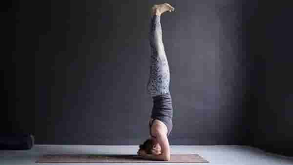 Yoga Tips: ‘या’ योग अभ्यासाला विशेषज्ञ मानतात किंग्ज ऑफ ऑल योगाज् ; तुमच्या संपूर्ण शरीरातील समस्यांमध्ये आहे खुप लाभदायक!