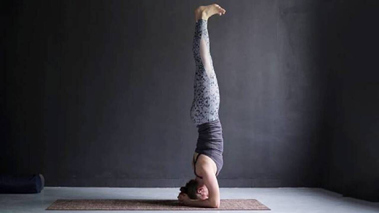 Yoga Tips: ‘या’ योग अभ्यासाला विशेषज्ञ मानतात 'किंग्ज ऑफ ऑल योगाज्' ; तुमच्या संपूर्ण शरीरातील समस्यांमध्ये आहे खुप लाभदायक! Yoga Tips: ‘या’ योग अभ्यासाला विशेषज्ञ मानतात 'किंग्ज ऑफ ऑल योगाज्' ; तुमच्या संपूर्ण शरीरातील समस्यांमध्ये आहे खुप लाभदायक!