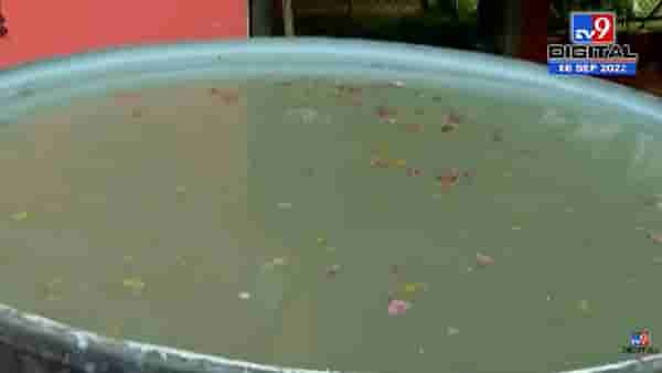 Nashik | गणपती बाप्पाच्या विसर्जनाची तयारी, विहिरीत नको, कृत्रिम तलावात करा विसर्जन, प्रशासनाचे आवाहन